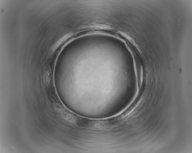 X0000076271163200609281158