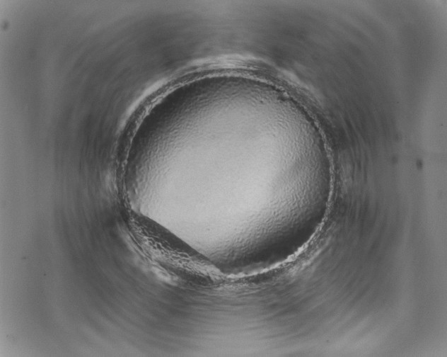 X0000076271166200609281158