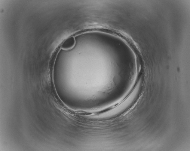 X0000076271167200609281158