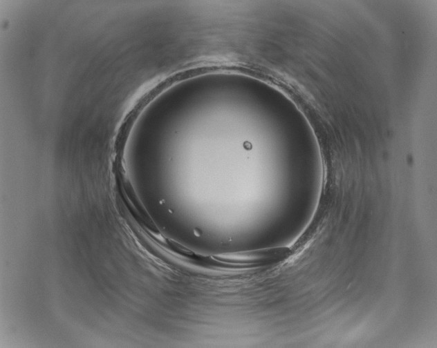 X0000076271168200609281158