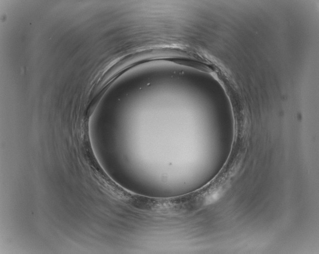 X0000076271169200609281158