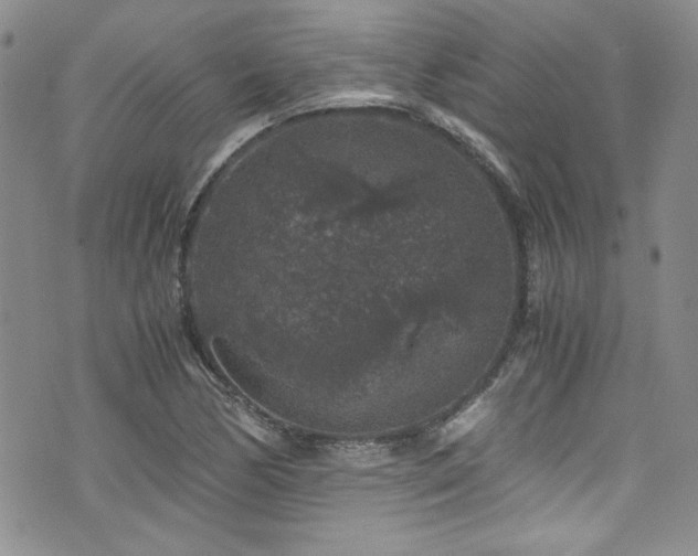 X0000076271170200609281158