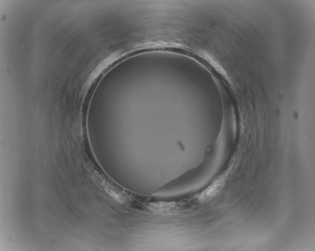 X0000076271173200609281158