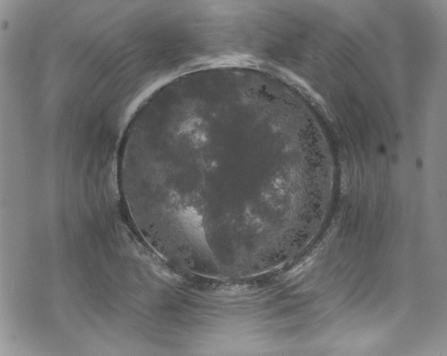 X0000076271174200609281158