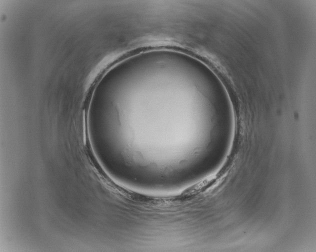 X0000076271175200609281158