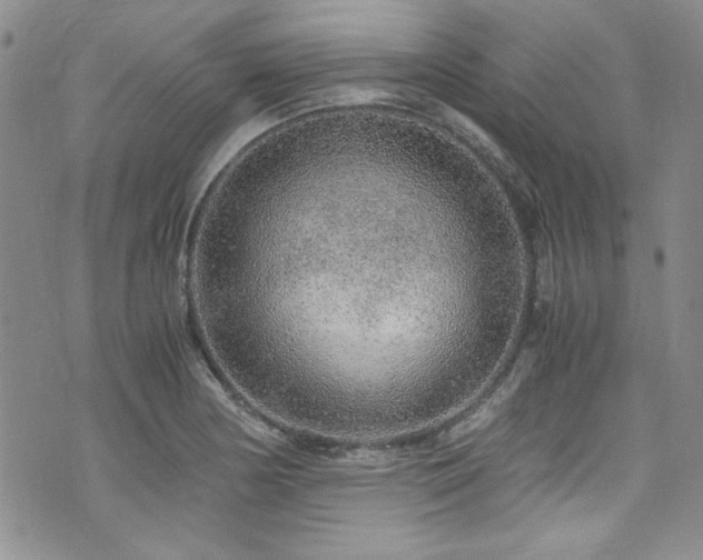 X0000076271178200609281158