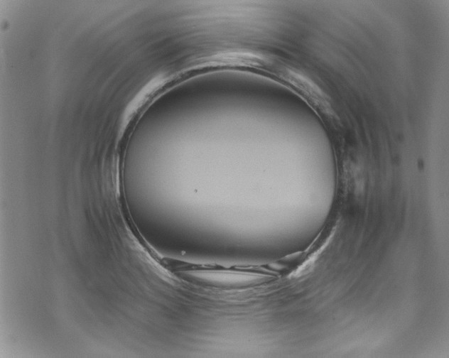 X0000076271180200609281158