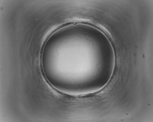 X0000076271183200609281158