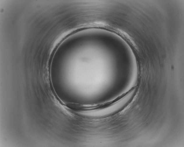 X0000076271184200609281158