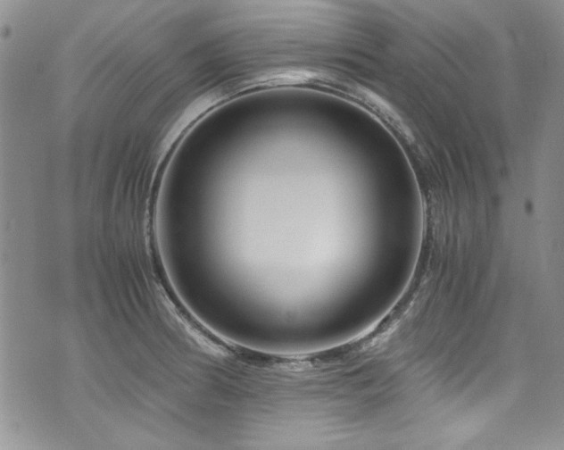 X0000076271186200609281158