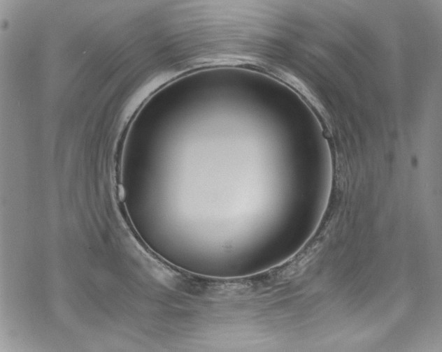 X0000076271187200609281158