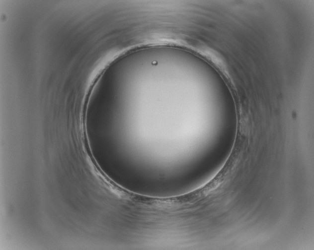 X0000076271191200609281157