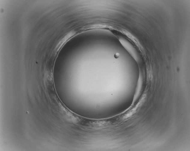 X0000076271193200609281157