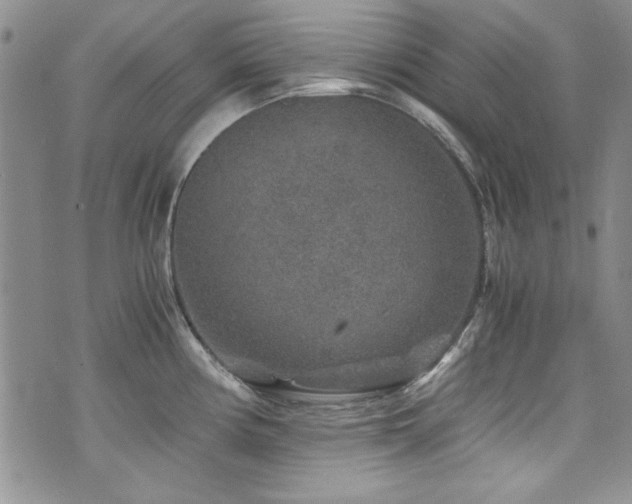 X0000076271194200609281157