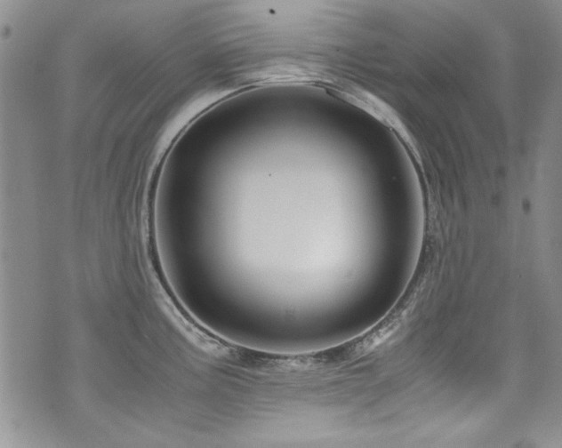 X0000076271195200609281157