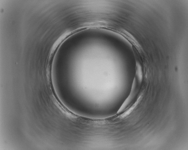 X0000076271196200609281157