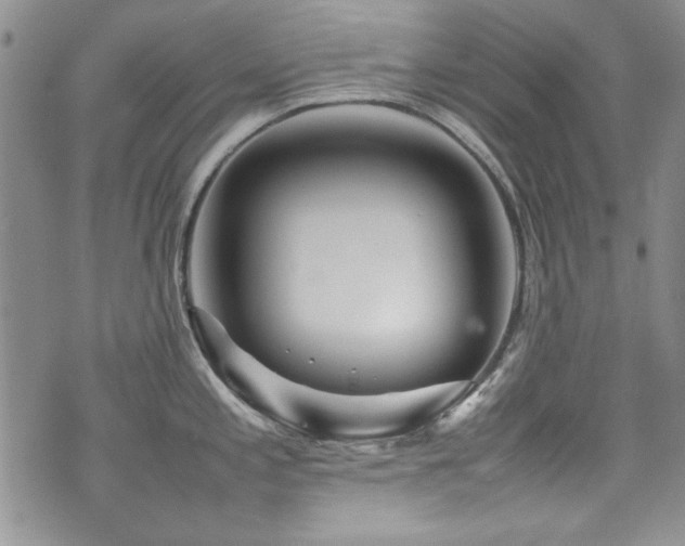 X0000076271197200609281157