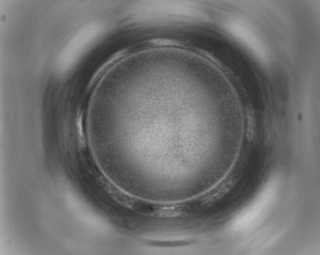 X0000076271198200609281157