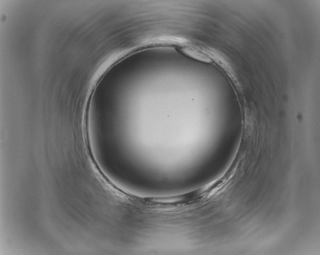 X0000076271199200609281157