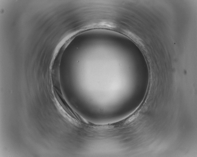 X0000076271200200609281157