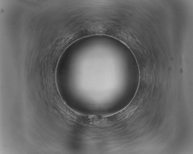 X0000076271201200609281157