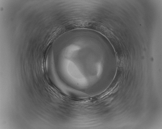 X0000076271202200609281157