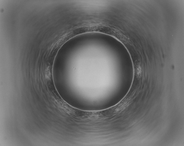 X0000076271204200609281157