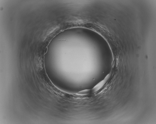 X0000076271205200609281157