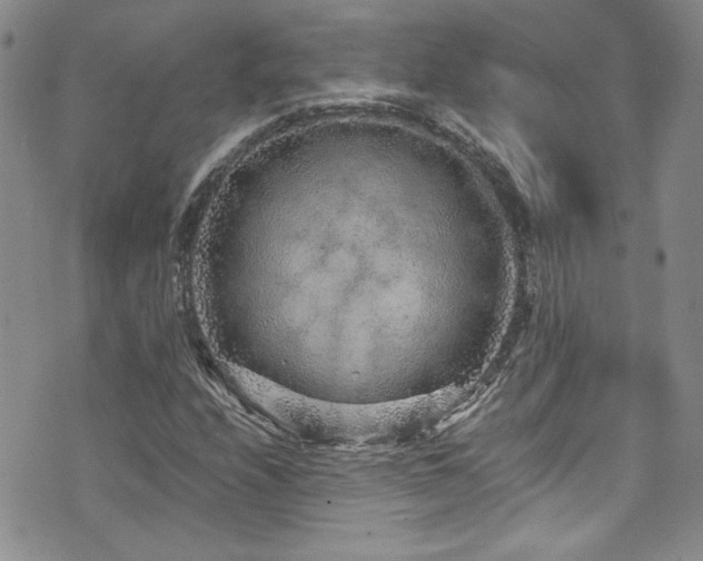 X0000076271208200609281157