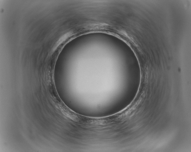 X0000076271211200609281157