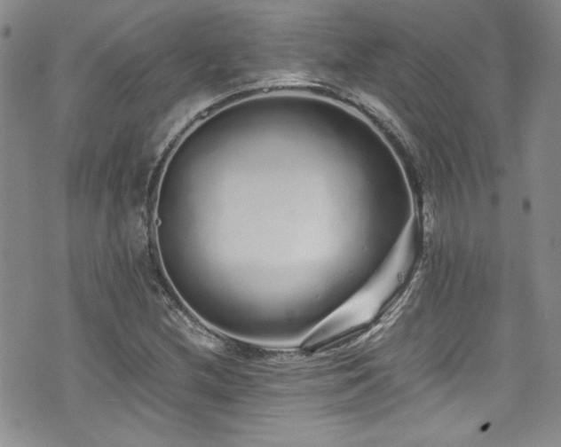 X0000076271212200609281157