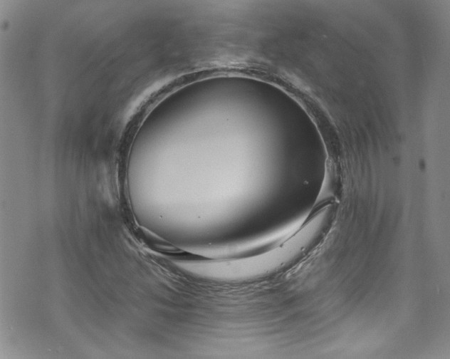 X0000076271214200609281157