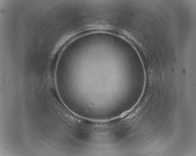 X0000076271215200609281157