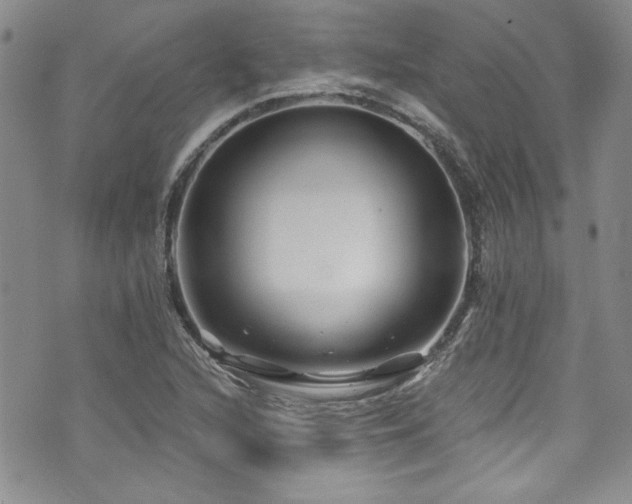 X0000076271216200609281157