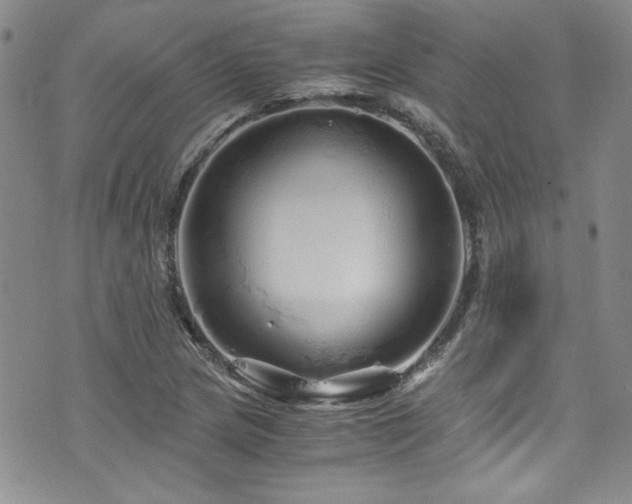 X0000076271217200609281157