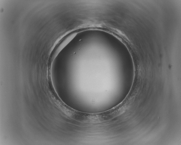 X0000076271220200609281157