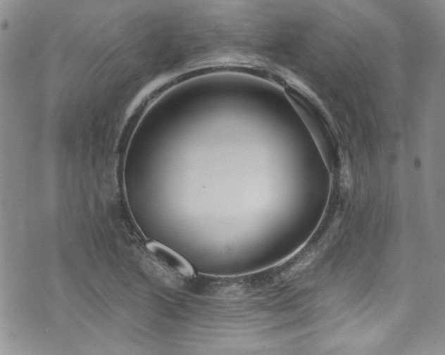 X0000076271222200609281157