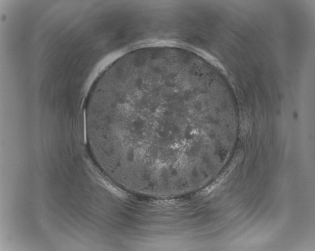 X0000076271223200609281157