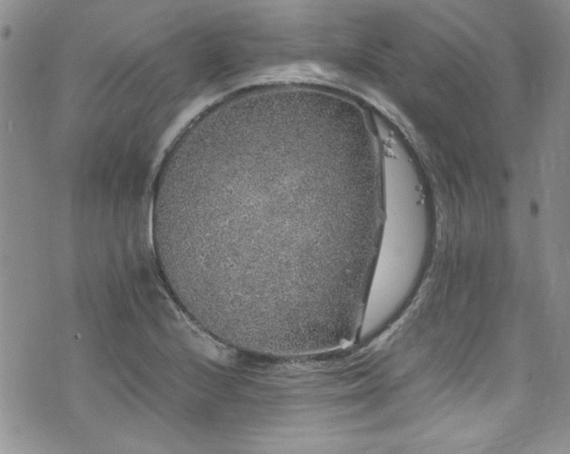 X0000076271224200609281157