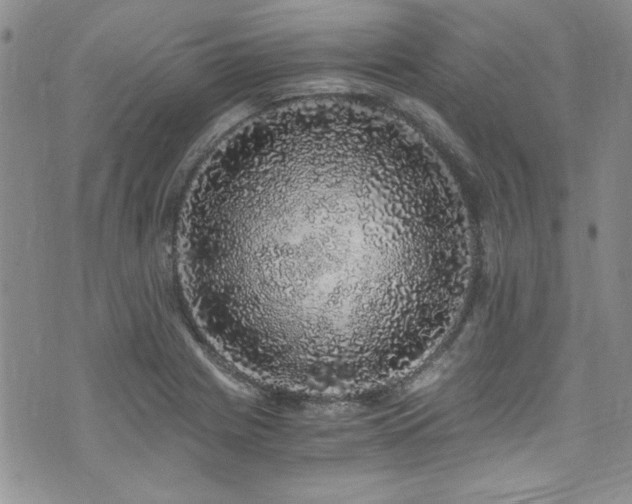 X0000076271225200609281157