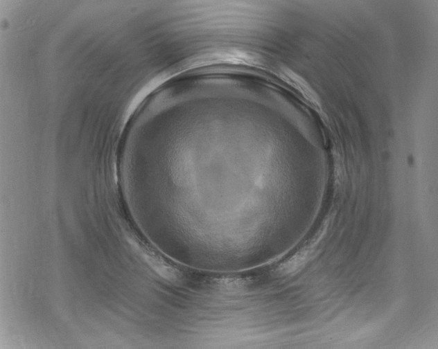 X0000076271226200609281157