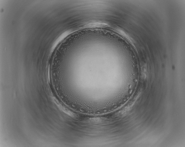 X0000076271227200609281157