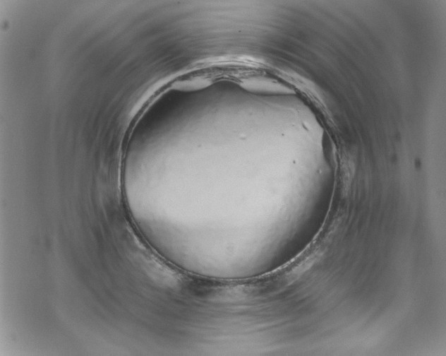 X0000076271228200609281157