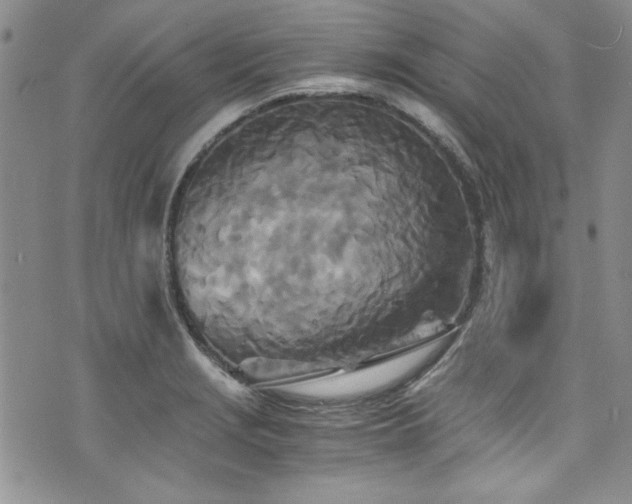 X0000076271229200609281157