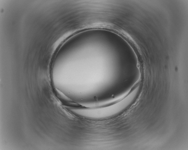 X0000076271230200609281157