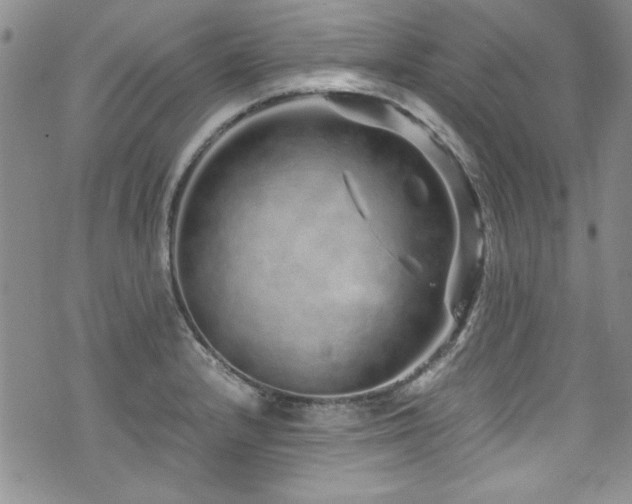 X0000076271232200609281157