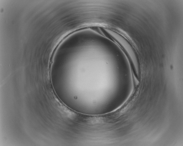 X0000076271236200609281157