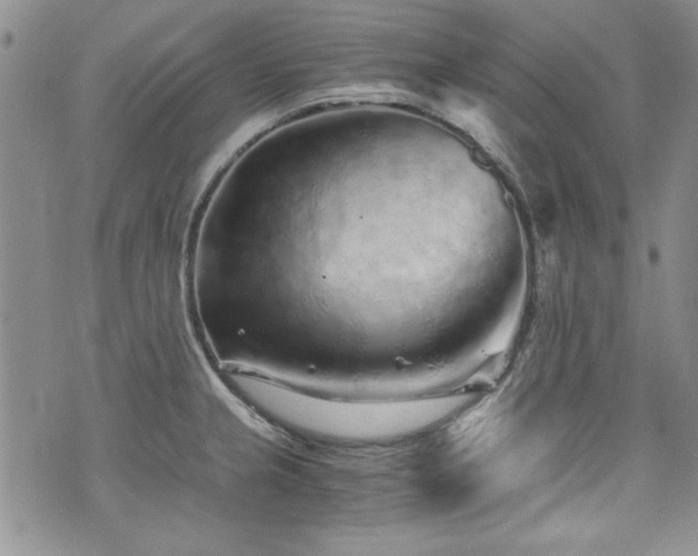 X0000076271237200609281157