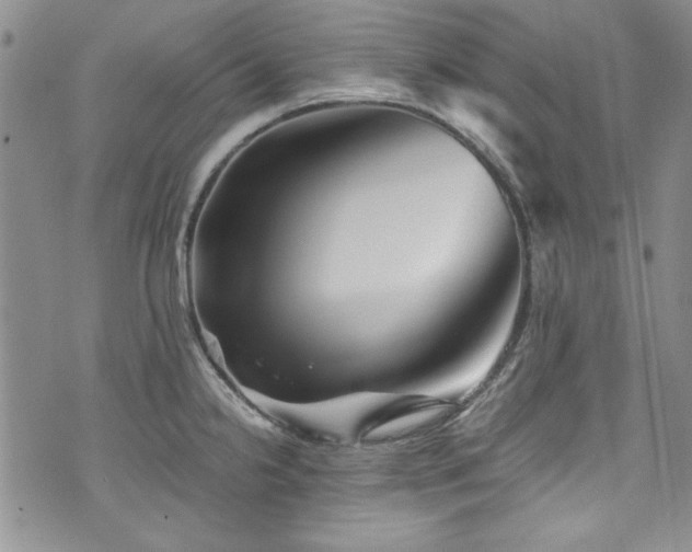 X0000076271238200609281157