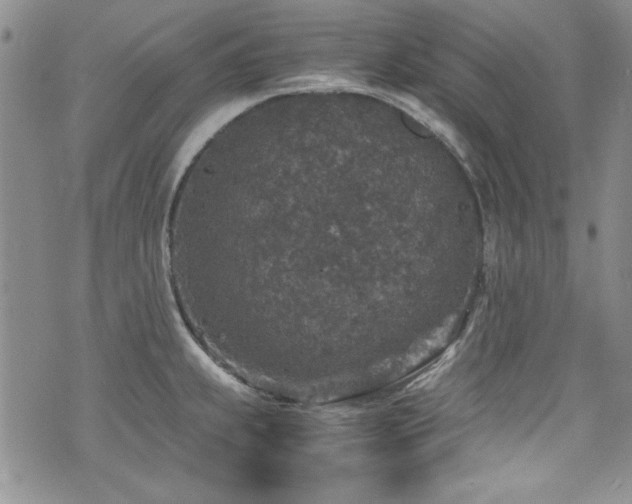 X0000076271239200609281157